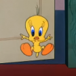 Looney Tunes - Tweety Pie - I did, I did taw a puddy cat!