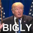 Donald J Trump - Bigly Bigly