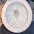 Toilet flushing (generic)(sfx)