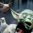 Bad Lip Reading - SEAGULLS! (Stop It Now) - Yoda - Penny for your thoughts