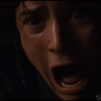 Fellowship of the Ring (2001) - Frodo - Nooooooooo