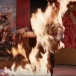 Team America (2004) - Tim Robbins (burning screaming)