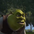 Shrek (2001) - Shrek - DONKEY!
